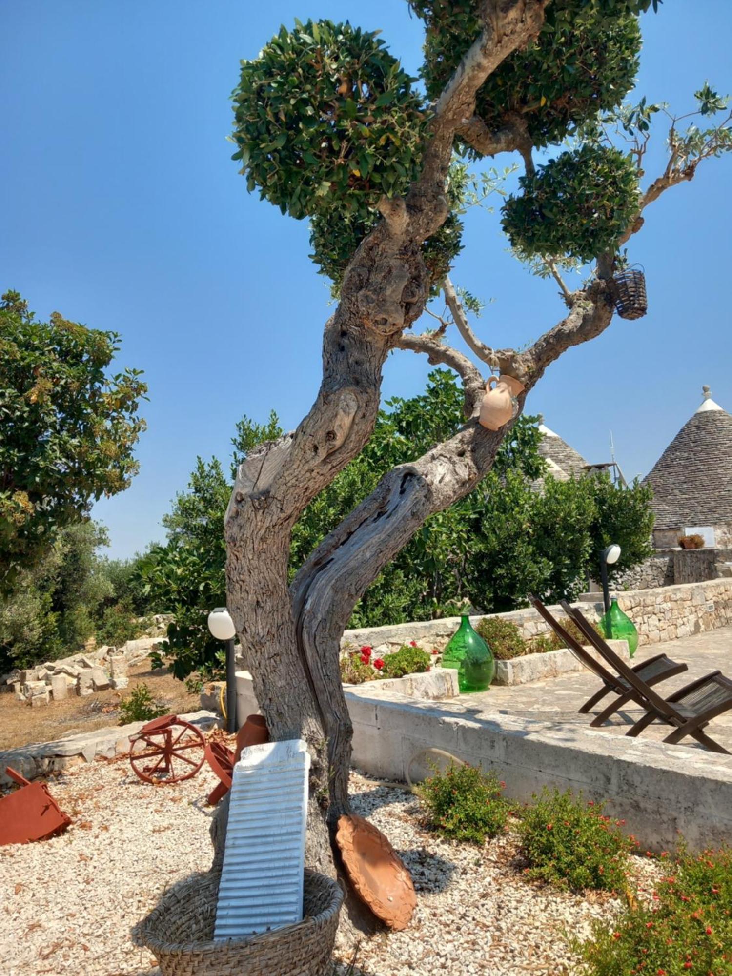 Maison d'hôtes Trullo Monte Del Sale à Alberobello Extérieur photo