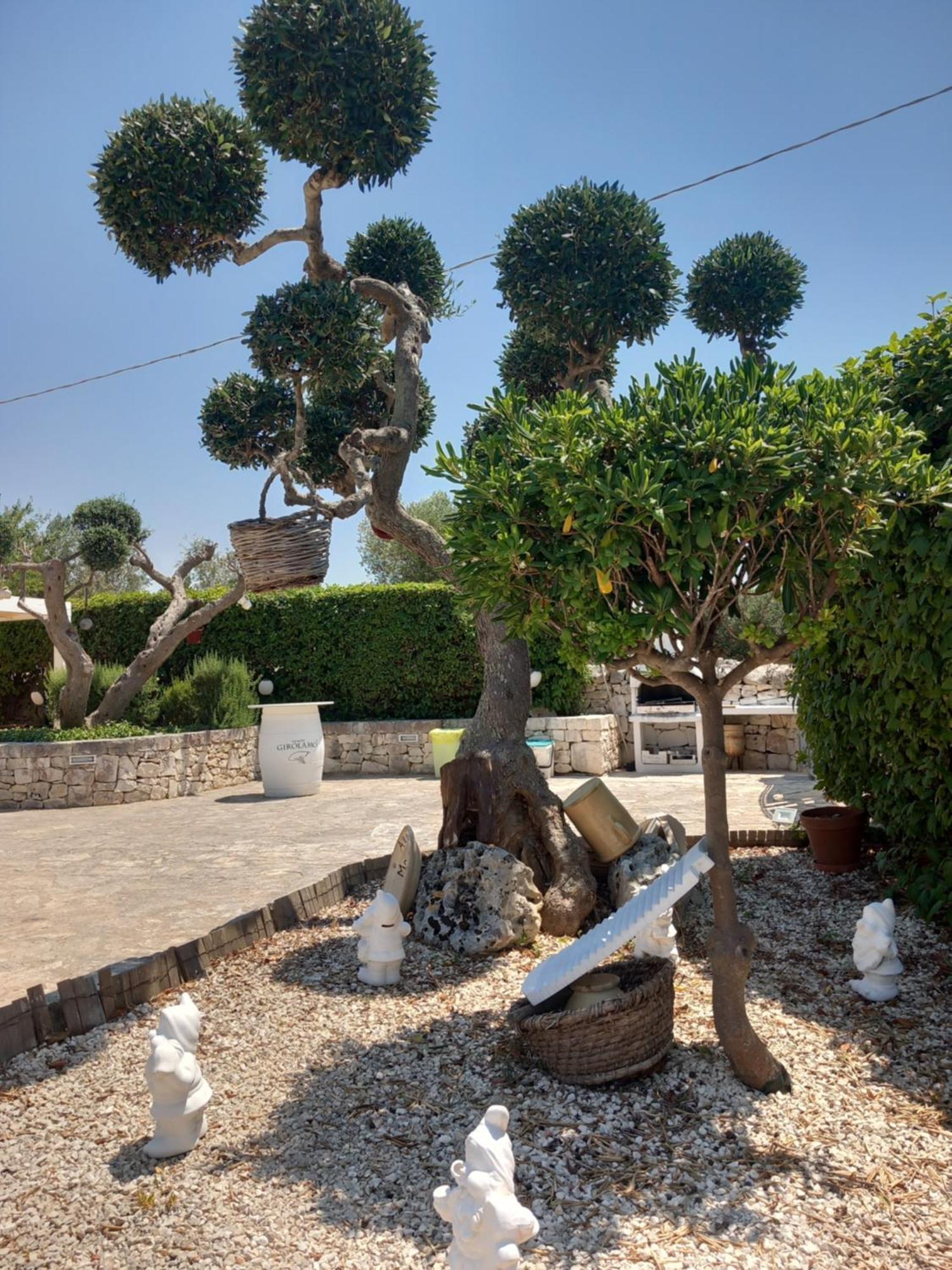 Maison d'hôtes Trullo Monte Del Sale à Alberobello Extérieur photo