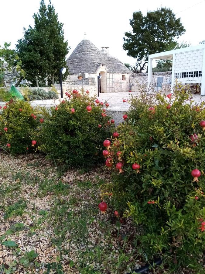 Maison d'hôtes Trullo Monte Del Sale à Alberobello Extérieur photo